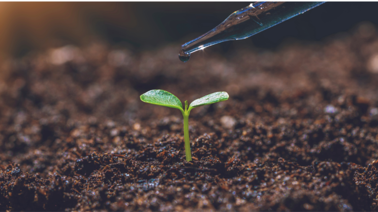 kids scientific method