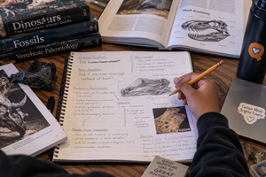 We’re All Studying Dinosaurs. We’re Not All Doing the Same Work.